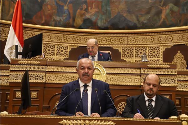 وزير شئون المجالس النيابية