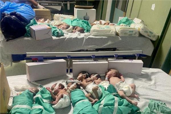 الأطفال حديثي الولادة 