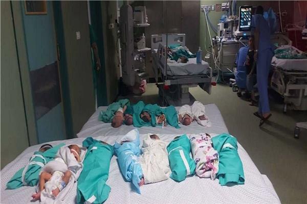 جهود مصرية مكثفة لنقل أطفال حديثي الولادة من قطاع غزة إلى مصر