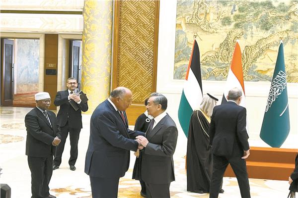 سامح شكري في بكين