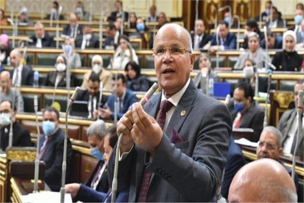 النائب السيد شمس الدين عضو مجلس النواب