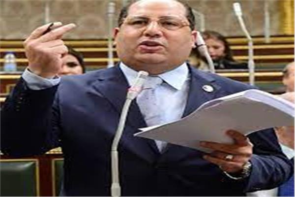 النائب أحمد نويصر