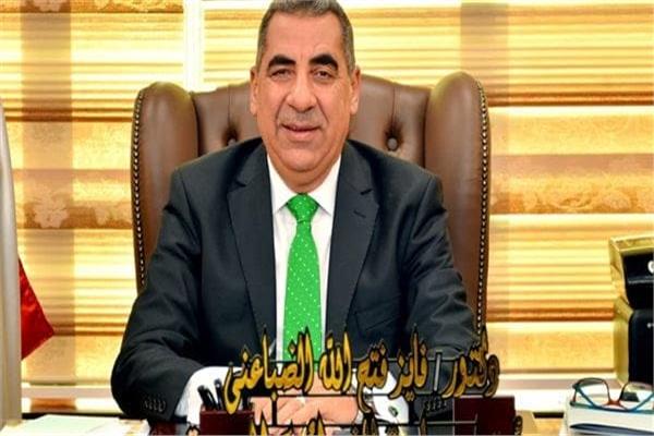 الدكتور فايز الضباعني رئيس مصلحة الضرائب المصرية