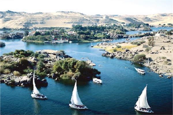 صورة موضوعية