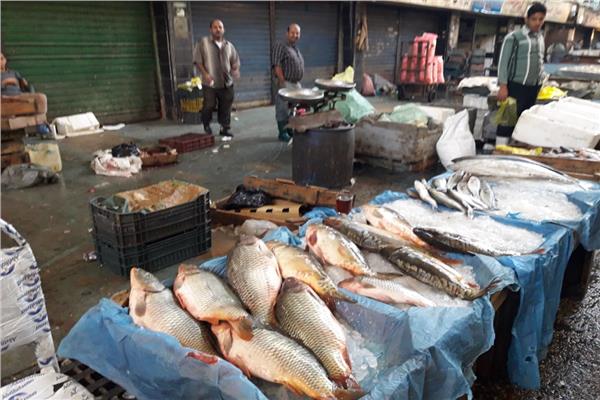 صورة موضوعية