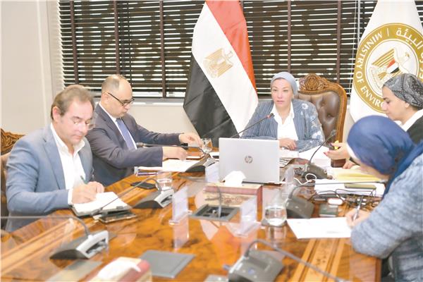 د. ياسمين فؤاد خلال الاجتماع