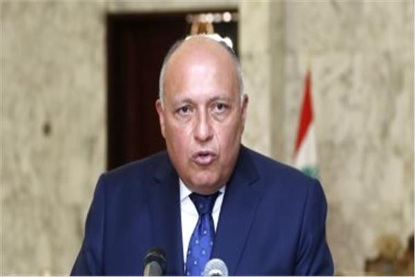 وزير الخارجية سامح شكري