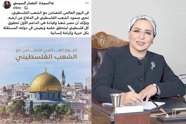 السيدة انتصار السيسى