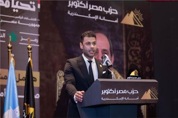 المهندس أحمد حلمى