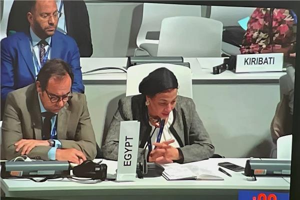 فعاليات مؤتمر المناخ COP28 المقام بمدينة أكسبو دبى