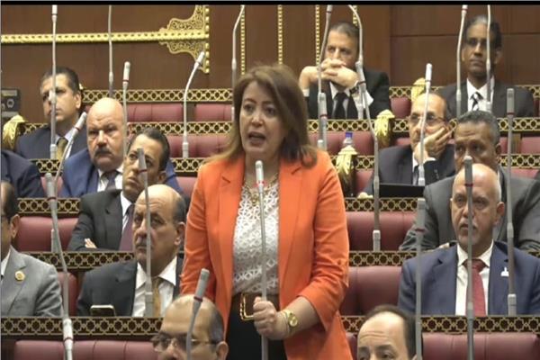  النائبة  سماء سليمان