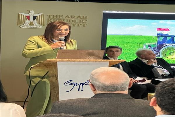 الدكتورة هالة السعيد وزيرة التخطيط 