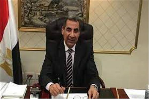  الدكتور فايز الضباعنى رئيس مصلحة الضرائب المصرية