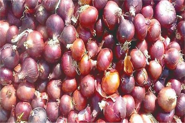 موضوعية