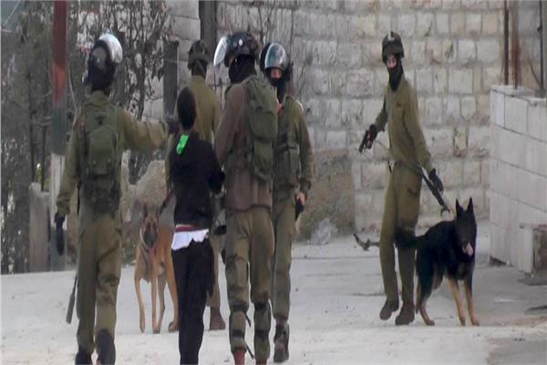 قطاع غزة