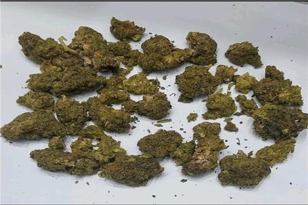تهريب كمية من المواد من المخدرة