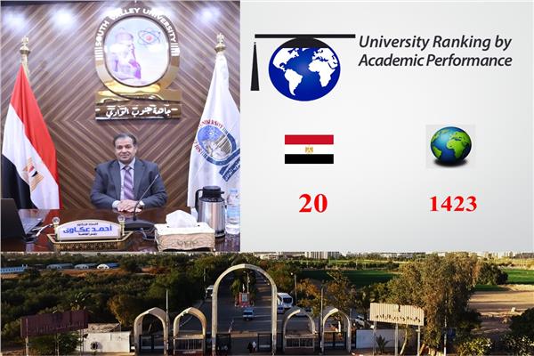 الدكتور أحمد عكاوي رئيس جامعة جنوب الوادي
