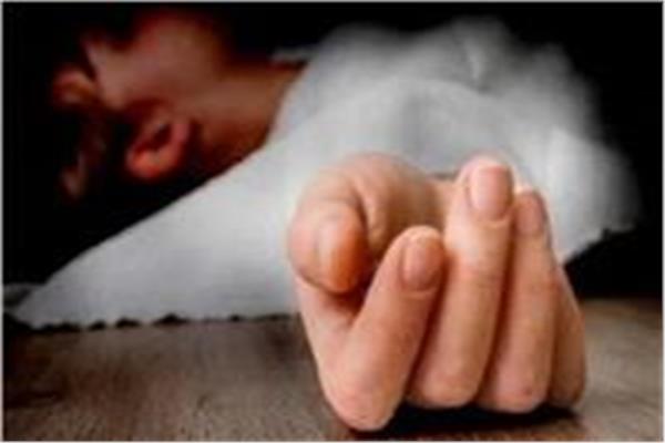 صورة أرشبفبة 