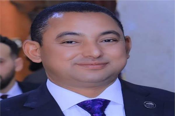 النائب الدكتور ناصر عثمان أمين سر اللجنة الدستورية والتشريعية بمجلس النواب