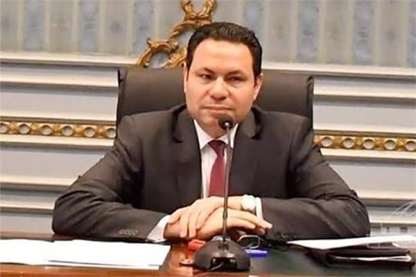النائب هشام الحصرى رئيس لجنة الزراعة والرى بمجلس النواب