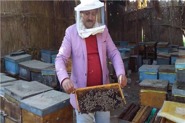 من داخل مزرعة النحل