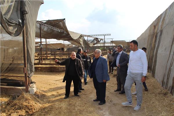 مدير معهد بحوث الإنتاج الحيواني
