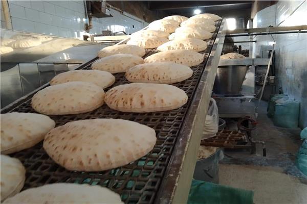 حملات تموينية بالبحيرة
