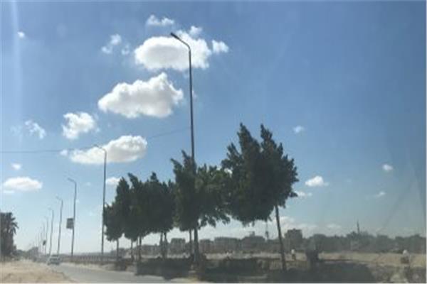 موضوعية