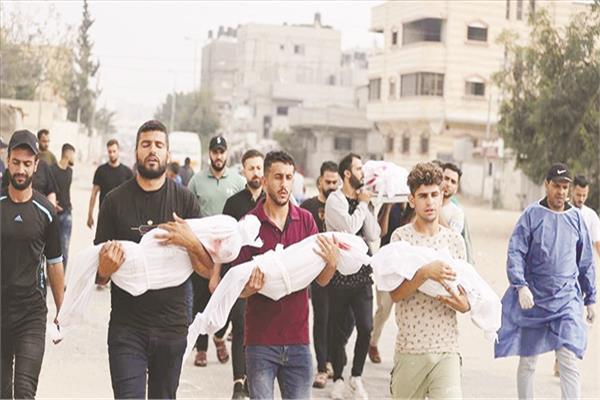 صورة موضوعية