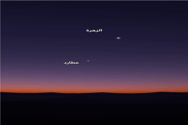موضوعية