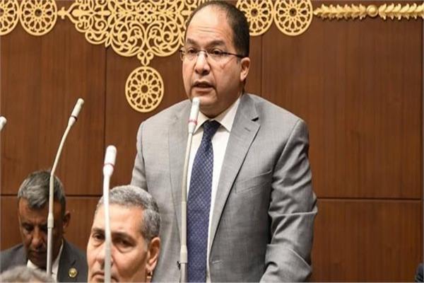 النائب عادل اللمعي عضو مجلس الشيوخ