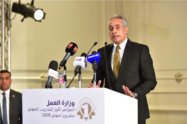 حسن شحاتة وزير العمل