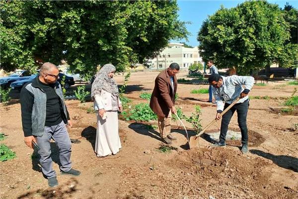 أعمال التشجير وزراعة شتلات الاشجار المثمرة