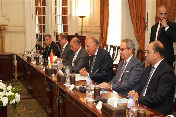 وزير الخارجية سامح شكري