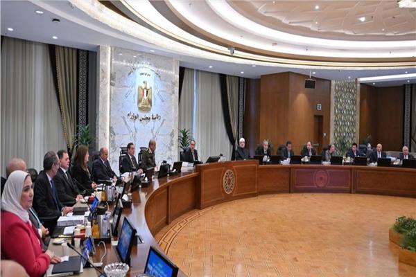 مجلس الوزراء على إضافة نشاط مزارع الإنتاج الحيواني