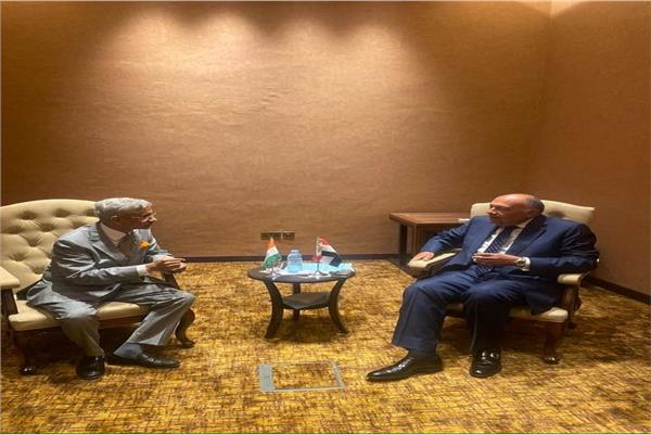 شكري يلتقي بنظيره الهندي جانب من اللقاء
