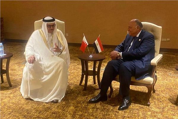 شكري ونظيره البحريني جانب من اللقاء 