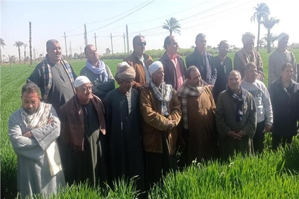 صورة موضوعية