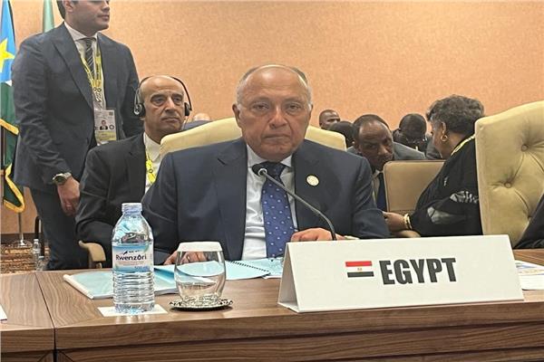 سامح شكري