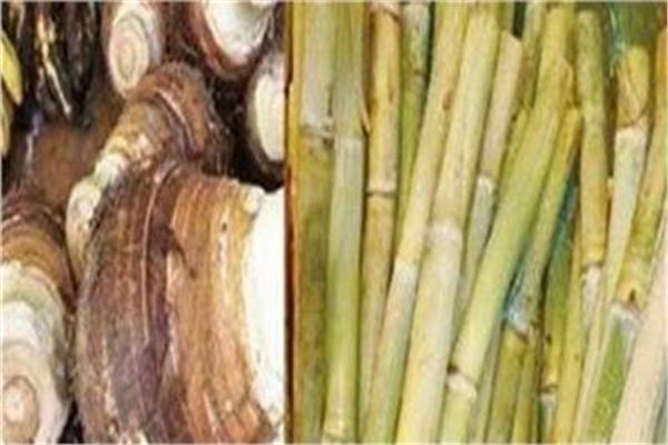صورة موضوعية
