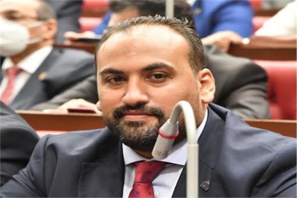 النائب محمد الرشيدي عضو مجلس الشيوخ