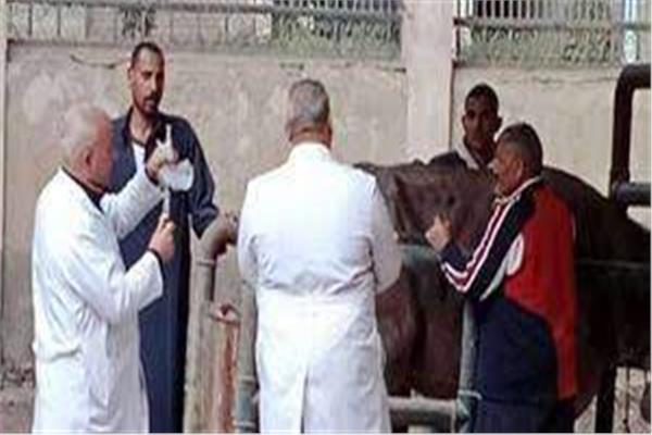 صورة موضوعية