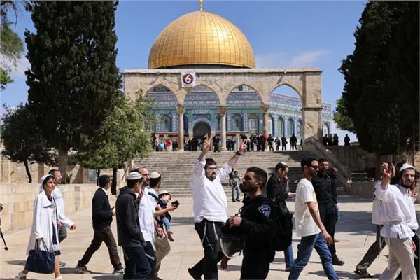 مستوطنون يدخلون المسجد الأقصى بجولات استفزازية