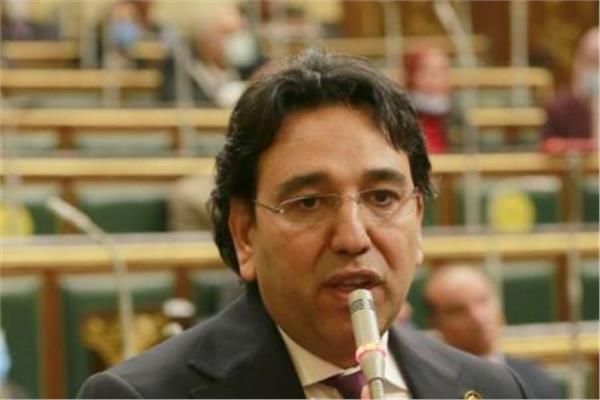  الدكتور أيمن محسب، وكيل لجنة الشؤون العربية بمجلس النواب