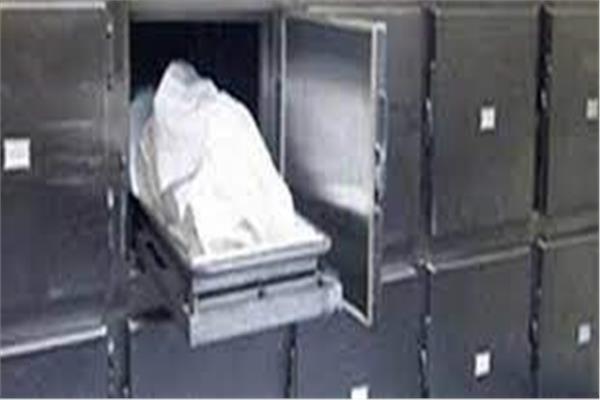 ارشيفية