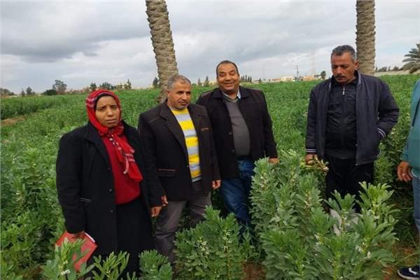 صورة موضوعية