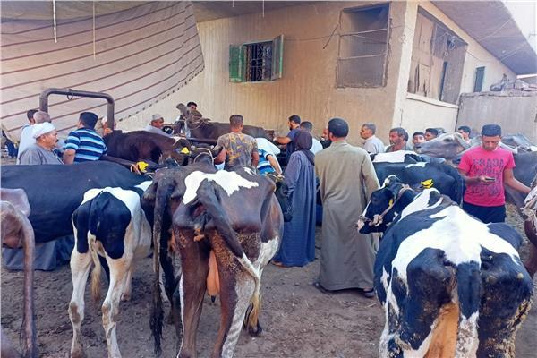 قافلة بيطرية علاجية