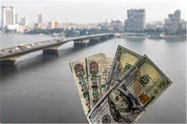رجال الأعمال : التحرير الكامل لسعر الصرف يقضي على تجارة العملة والحل في التصنيع