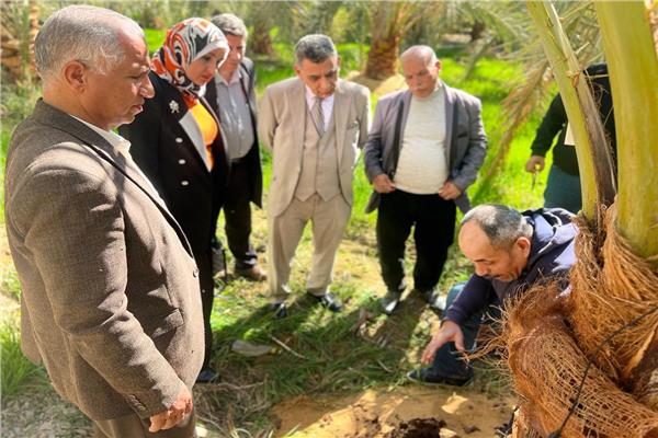  بحوث الإلكترونيات