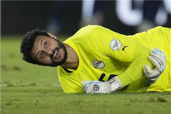محمد الشناوي